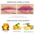 Pudaier Lip Line Glossy Plumping Lip Gloss Temperature Change Color